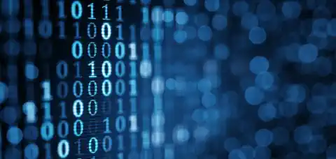 Web Design and Development